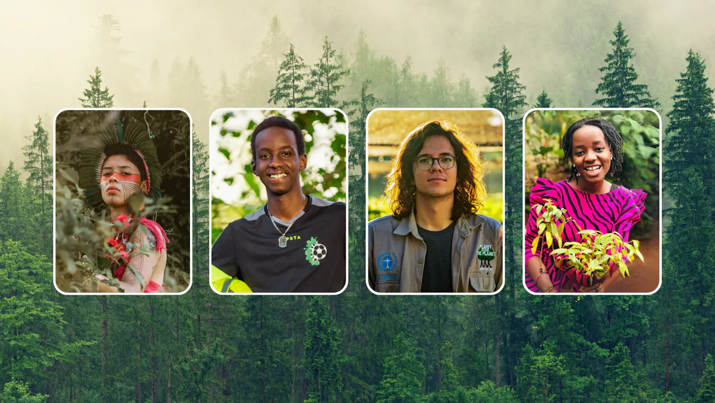 Meet four fearless eco-warriors restoring our forests